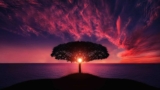 How To Experience Forgiveness And Live A New Life Of Victory