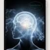 How to Master the ADHD & Anxiety Brain Reset