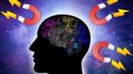 How To Program Your Mind In An Instant For Law Of Attraction