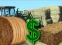 How to Start a Successful Hay Bale Business (Master Class)