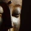 How To Still The Mind Through Meditation