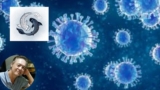 How to strengthen immune system against flu-viruses attack?