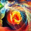 How To Transform Your Life By Transforming Your Mind