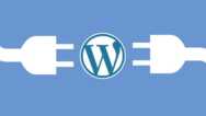 How To – WordPress Plugin Outsourcing