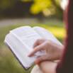 How to write original poetry and publish it on social media