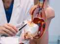 Human Physiology for Medical Coding, Billing & Healthcare