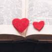 Ignite Your Passion For Reading: Fall In Love With Books