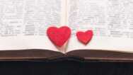 Ignite Your Passion For Reading: Fall In Love With Books