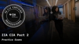 IIA CIA Certified Internal Auditor Part 2 Practice Exams
