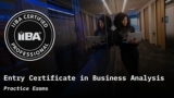 IIBA Entry Certificate in Business Analysis Practice Exams