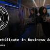 IIBA Entry Certificate in Business Analysis Practice Exams