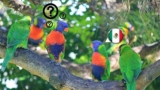 Improve Your Spanish Listening Comprehension