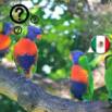 Improve Your Spanish Listening Comprehension
