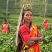 India’s Wonderful Contributions To The World