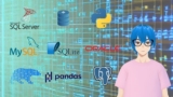 Install SQLServer MySQL Oracle Postgres SQLite Pandas Polars