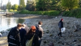 Intro To Shoreline Cleanup Assessment Technique (scat)
