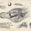 Introduction of Fluid Mechanics