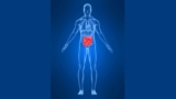 Introduction To Bodydetox Course