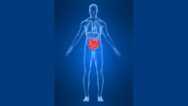 Introduction To Bodydetox Course
