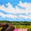 Introduction To Digital Landscape Drawing