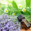 Introduction To Essential Oils