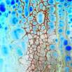 Introduction To Fluid Art