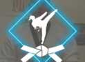 Introduction to GroupEx Taekwondo