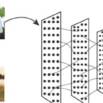 Introduction to Image Classification with Python: A Beginner