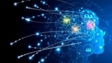 Introduction to Neural Networks