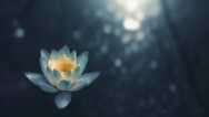 Introduction To Object Meditation – A Free Course