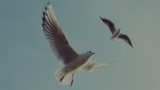 Introduction To Practical Healing