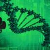 Introduction to programming for Bioinformatics with Python