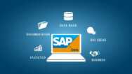 Introduction to SAP DMS Document Management SystemSAP PLM
