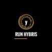 Introduction to SAP Hybris