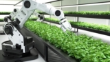 Introduction to Smart Farming and AI in modern agriculture