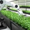 Introduction to Smart Farming and AI in modern agriculture