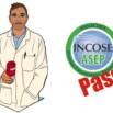 Introduction To Systems Engineering And Incose Asep Exam