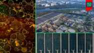 Introduction to Wastewater Treatment