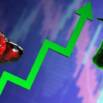 Investing in the Stock Market (beginners)
