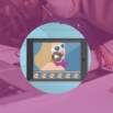 Invideo Basics – Professional Business Videos Made Simple