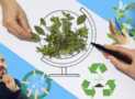 ISO 14001: 2015 The Environmental Stewardship Blueprint
