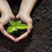 ISO 14001 Implementation Step by Step With Templates