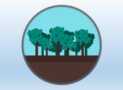 ISO 14001:2015 Environmental Management Systems