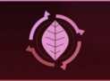 ISO 14001:2026 Auditor Coordenador: SGA Passo a Passo