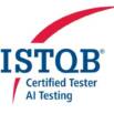 ISTQB AI Testing CT-AI v2.0 Mock Tests -240 Questions – 2026