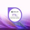 ITIL Strategist Direct Plan & Improve: 6 Practice tests