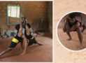Kalaripayattu.