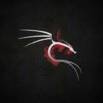 Kali Linux for Pentesters and Ethical Hackers Practice Tests