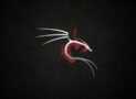 Kali Linux for Pentesters and Ethical Hackers Practice Tests