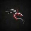 Kali Linux for Pentesters and Ethical Hackers Practice Tests